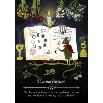 Seasons of the Witch Imbolc Orakulo kortos Rockpool